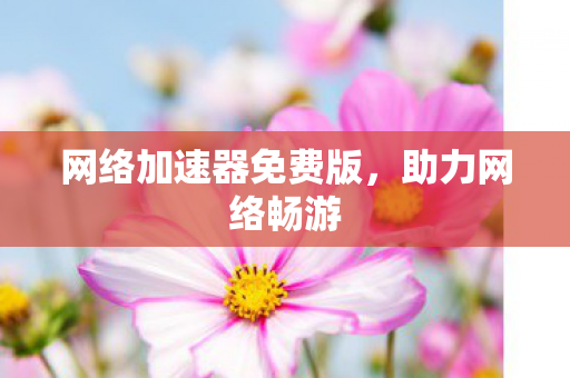 网络加速器免费版图片