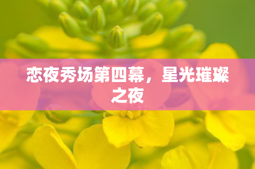 恋夜秀场第四幕图片