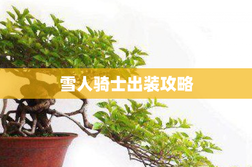 雪人骑士出装攻略图片