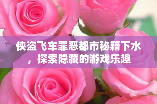侠盗飞车罪恶都市秘籍下水图片