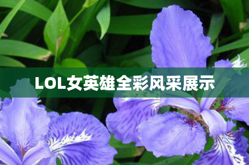 LOL女英雄全彩风采展示图片