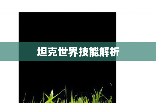 坦克世界技能解析图片
