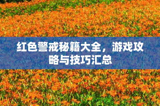 游戏攻略与技巧汇总图片