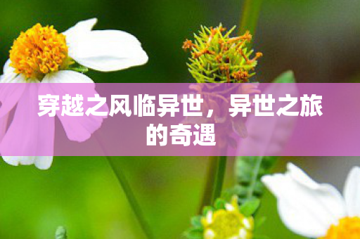 穿越之风临异世图片