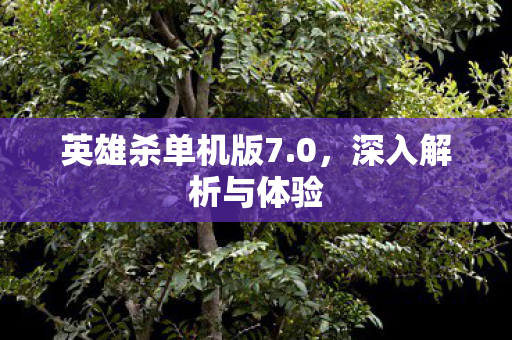 英雄杀单机版7图片