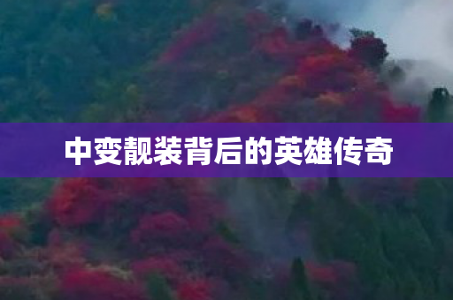 中变靓装背后的英雄传奇图片