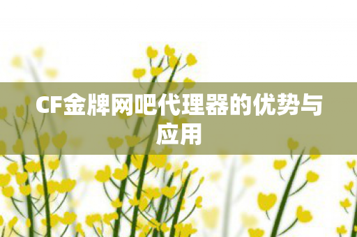 CF金牌网吧代理器的优势与应用图片
