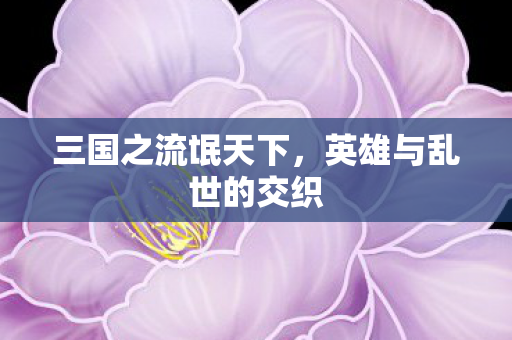 英雄与乱世的交织图片