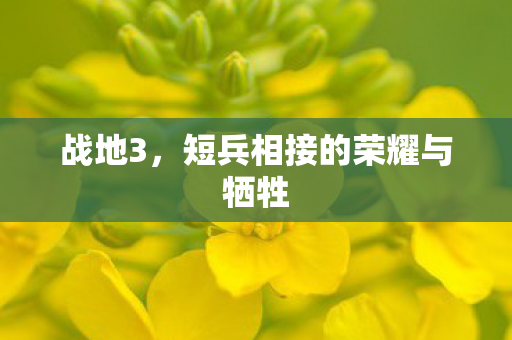 短兵相接的荣耀与牺牲图片