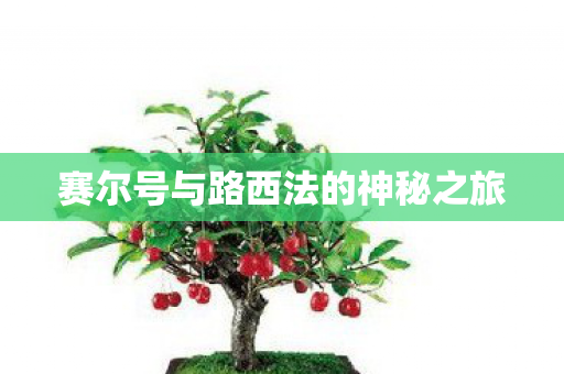 赛尔号与路西法的神秘之旅图片