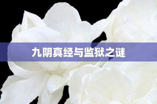 九阴真经与监狱之谜图片