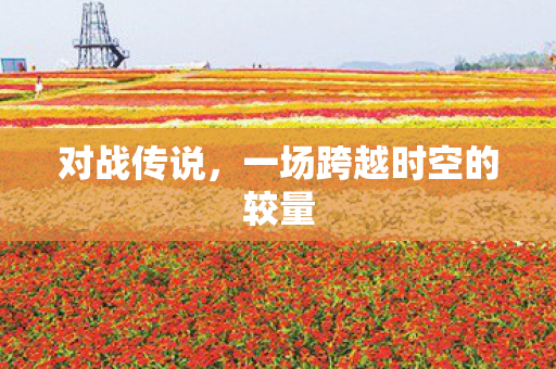 一场跨越时空的较量图片