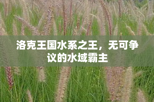 无可争议的水域霸主图片