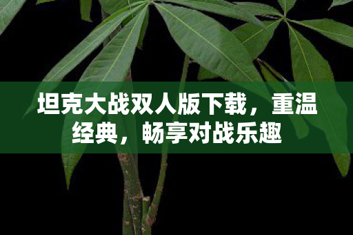 坦克大战双人版下载图片