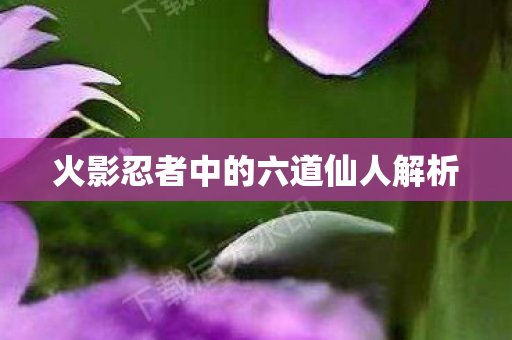 火影忍者中的六道仙人解析图片