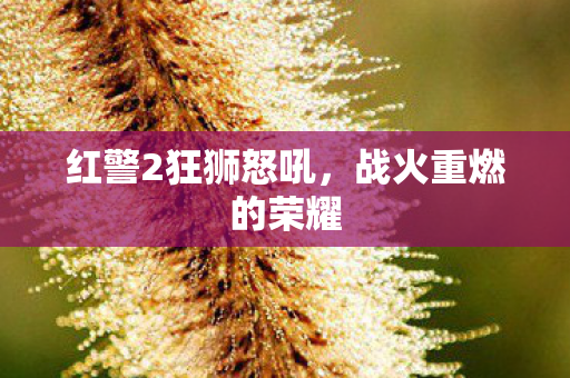 红警2狂狮怒吼图片