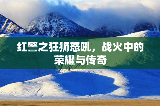 战火中的荣耀与传奇图片