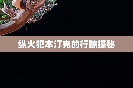 纵火犯本汀克的行踪探秘图片