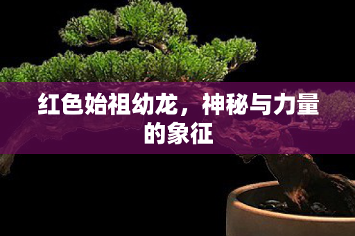 神秘与力量的象征图片