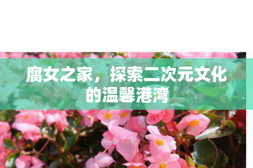 探索二次元文化的温馨港湾图片