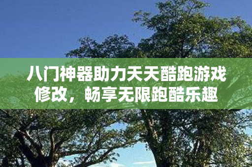 八门神器助力天天酷跑游戏修改图片