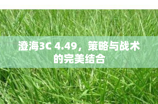 策略与战术的完美结合图片