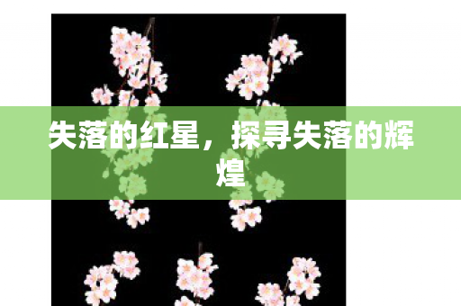 探寻失落的辉煌图片