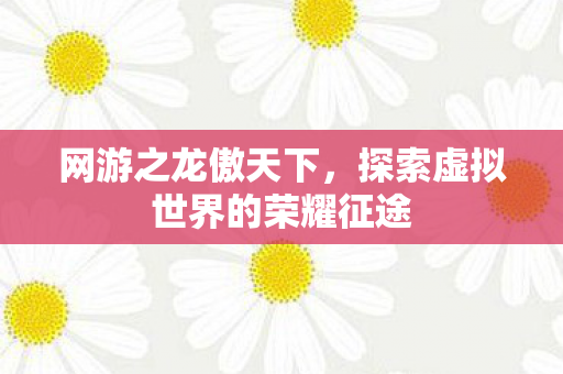 探索虚拟世界的荣耀征途图片