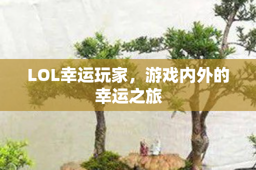 游戏内外的幸运之旅图片
