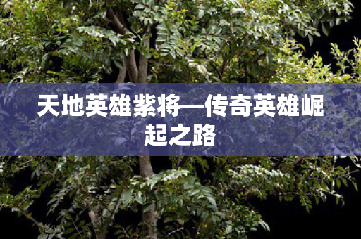 传奇英雄崛起之路图片