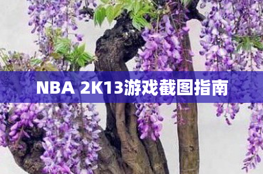 NBA 2K13游戏截图指南图片