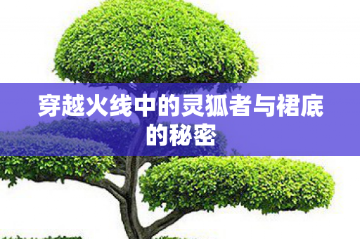 穿越火线中的灵狐者与裙底的秘密图片