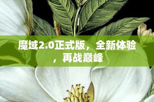 0正式版图片