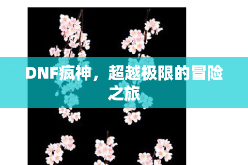 超越极限的冒险之旅图片