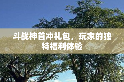 玩家的独特福利体验图片