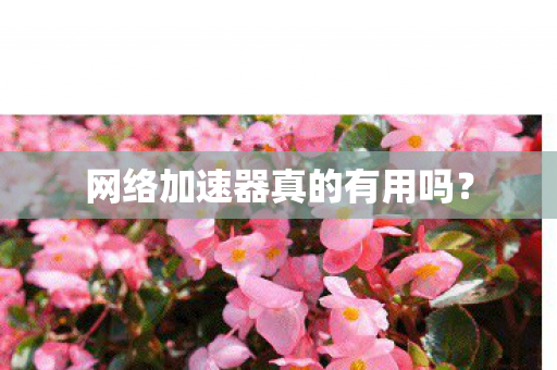 网络加速器真的有用吗图片