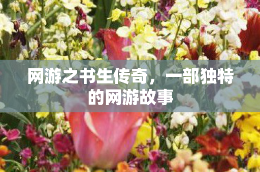 一部独特的网游故事图片