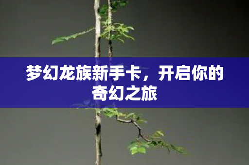 开启你的奇幻之旅图片