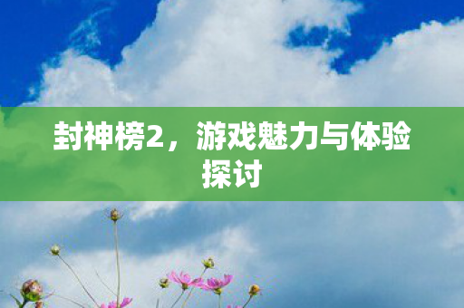 游戏魅力与体验探讨图片
