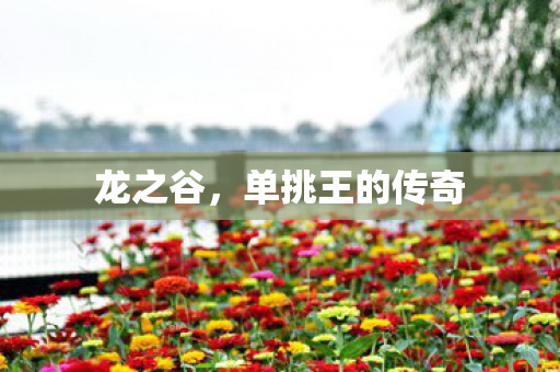 单挑王的传奇图片