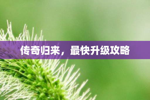 最快升级攻略图片