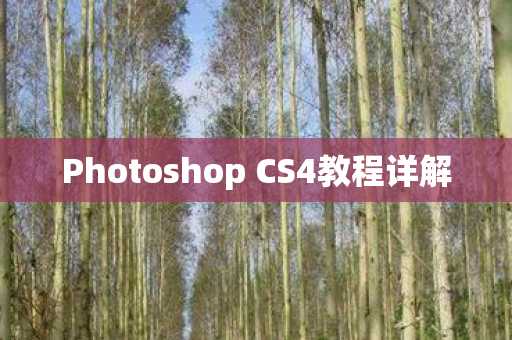 Photoshop CS4教程详解图片
