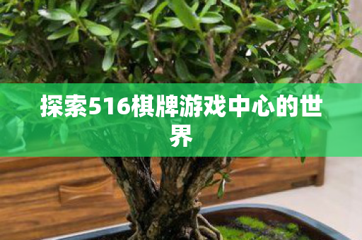 探索516棋牌游戏中心的世界图片