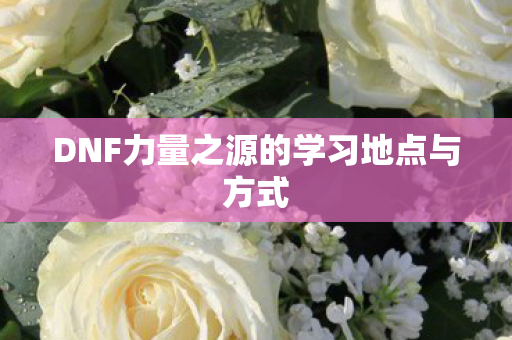 DNF力量之源的学习地点与方式图片