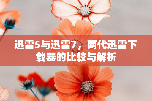 两代迅雷下载器的比较与解析图片