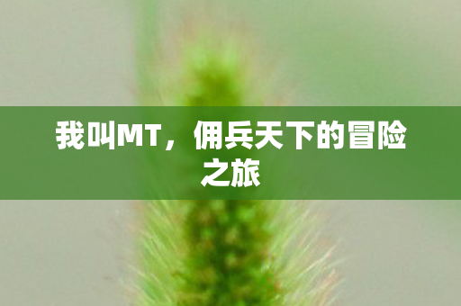 佣兵天下的冒险之旅图片