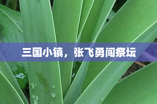 张飞勇闯祭坛图片