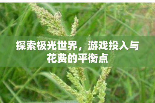 游戏投入与花费的平衡点图片