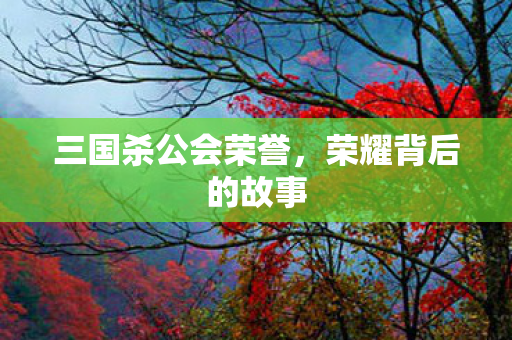 三国杀公会荣誉图片