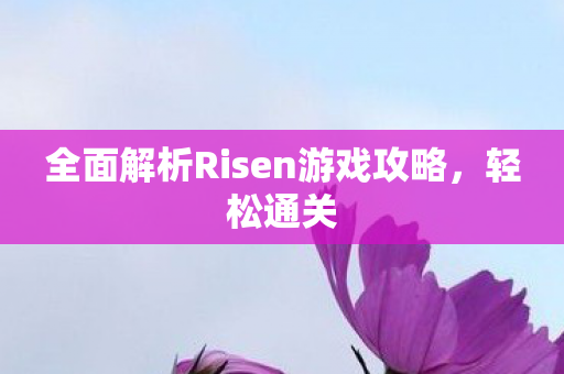 全面解析Risen游戏攻略图片